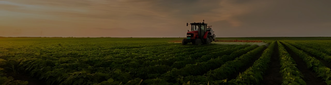 शेत रस्ता